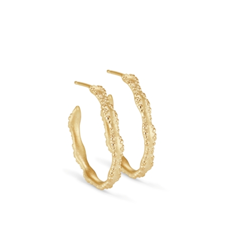 Orno scallped edge delicate hoop earrings